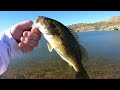 Newcastle Reservoir Smallmouth Fishing - Live and Uncut!