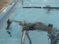 How to Swim Breaststroke by JimmyDShea *with audio*