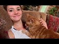 VLOG: Settling in in the Rocky Mountains  - 1st day at my new housesit!