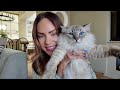 THINGS YOU SHOULD KNOW ABOUT OWNING BRITISH SHORTHAIRS VS RAGDOLLS | CAT UPDATE LIZA PRIDEAUX 2024