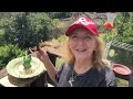 How To Make Hummingbird ENDLESS Water Fountain LOVED *1st EVER Bird Bath EASY Solar Powered PORTABLE