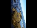 Sitting at the tide pools