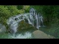 Beautiful Relaxing Music 🌿 Calming Music Restores The Nervous System, Relaxing Stress Relief Music