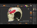 ZBrush: Polypainting Tips