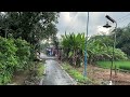 Heavy rain in the beautiful countryside of Indonesia||sleep soundly in 5 minutes