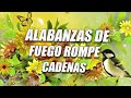 Alabanzas De Fuego Rompe Cadenas 🕊 Mas De 55 Coros Avivamiento Pentecostal  🕊 Coros Pentecostales