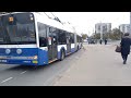 Buses & Trolleybuses at Nīcgales iela