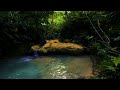 Relaxing Nature Sound Forest River Flowing Soft gurgling water Relaxation for Sleeping