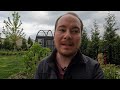 Metal Garden Bed Review: Vego (after 2 years) vs Vegega | The Southerner's Northern Garden