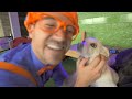 Blippi visita un estadio de beisbol | Compilación | Aprende con Blippi | @Blippi Español