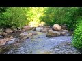 Relaxing Natural Sounds:The Sound of Flowing Water, Birds Singing Dung Duong | Sounds for Deep Sleep