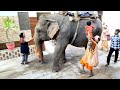 Ganesh maharaj ka darshan Pritam caloni gaishpura Ludhiana