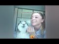 You Laugh You Lose😹Funniest Dogs and Cats 2024😻🐶