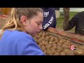 In Aroostook County, teens lend a helping hand to local potato farms during their harvest break