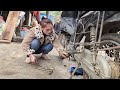 Genius girl. Repair and replace broken Honda wave s110cc motorbike engine
