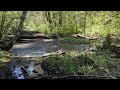 SILENT PERSPECTIVES (4K) of Little White Salmon River @ Oklahoma Campground! | Gifford Pinchot