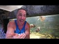 The seahorse aquarium - CRAZY UPDATE!
