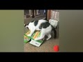 funny  cats video | funny animals #funnycatsanddogs #funnyshorts #funnymoments