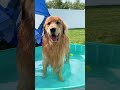 Tucker Shows Todd How to Swim