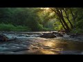 The Calming River: Sounds for Improved Sleep and Relaxation