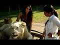 Lions Treat Woman Like the Leader of Their Pride