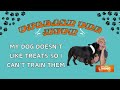 Cesar Millan busts dog training myths