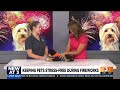 How to keep pets stress-free during fireworks