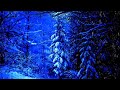 Blizzard Sounds for Sleep ,Relaxation & Stress Relief I Snowfall & Howling Wind Sounds in the Forest