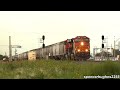 BNSF FULL LENGTH Freight Trains (Pampa, TX)