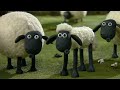 La Oveja Shaun 🐑 Cuidado de la piel del cerdo 🐑 Dibujos animados para niños