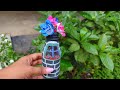 How to make this beautiful flower vase 💐❓