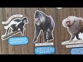Zoo Tampa at Lowry Park Full Tour 2024 - Part 1