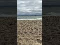 Relaxing Windy Beach Sounds