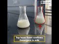 Check your Milk for Detergent Adulteration - Milk Purity Series 3