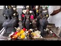 Renuka yellamma Devi temple near Krishna Rao park, Bengaluru | Vlog 2