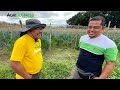 Mga Dapat Malaman para KUMITA ng MILLIONS at Maiwasang Malugi sa Comercial Scale Vegetable Farming!