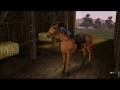 Sims 3 Pets Horse Breeds