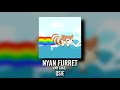 Nyan Furret (my take)