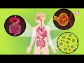 PARASITE | What Is A PARASITE? | Biology For Kids | The Dr Binocs Show | Peekaboo Kidz