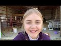 BARN VLOG! Using our new jumps! | bounces