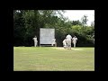 P Ellis wicket v J.Adams Galleywood cc