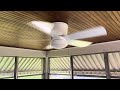 44” Home Decorators Collection Arleigh Ceiling Fan