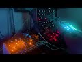 Tigress (PM Taiga | Moog Sound Studio | Synthstrom Deluge) Late Night Jam Session