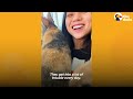 Woman Rescues A Bunny And Later Gets The Greatest Surprise | The Dodo