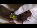 Hot Wheels Nitro Speeders transmission cleaning/maintenance