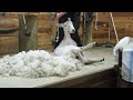 How to Shear a Sheep