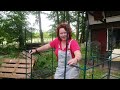 Building a greenhouse & new animals  |  Living in a rural cottage
