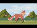 Amazing Facts About Foxes
