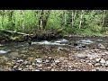 SILENT PERSPECTIVES (4K) @ Paradise Creek Campground | Gifford Pinchot National Forest Washington 4K