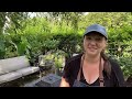 🪴 Patio Planting - How to Make ''Compost in Place'' 🪴